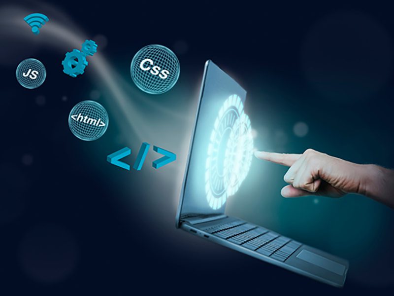 exploring website development service options to build an SEO-friendly, custom website